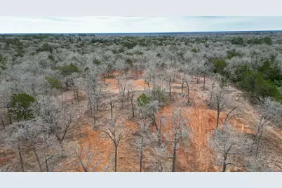 1559 Fm 535, Smithville, TX 78957 - Photo 8