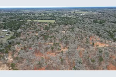1559 Fm 535, Smithville, TX 78957 - Photo 6