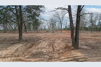1559 Fm 535, Smithville, TX 78957 - Photo 2