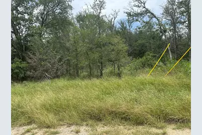 189 Puu Waa Waa Lane, Bastrop, TX 78602 - Photo 4