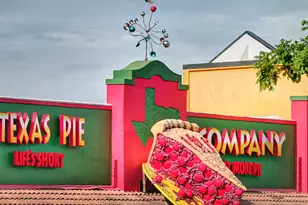 196 Basket Flower Loop, Kyle, TX 78640 - Photo 32