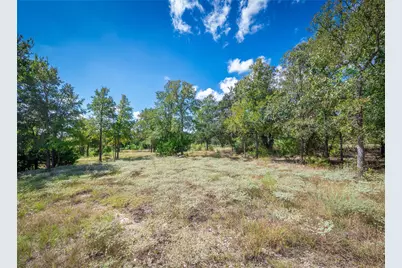 260 Billie Brooks Lane, Driftwood, TX 78619 - Photo 12