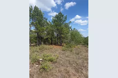 Tbd Lakewood Drive, Bastrop, TX 78602 - Photo 4