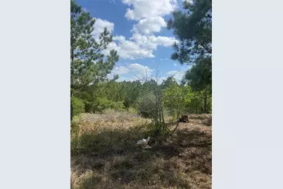 Tbd Lakewood Drive, Bastrop, TX 78602 - Photo 2