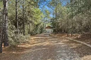 201 Winfield Thicket Rd, Bastrop, TX 78602 - Photo 2