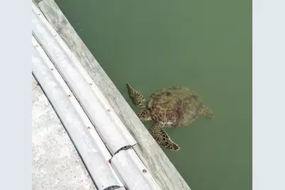 318 W Cotter Avenue #1, Port Aransas, TX 78373 - Photo 12