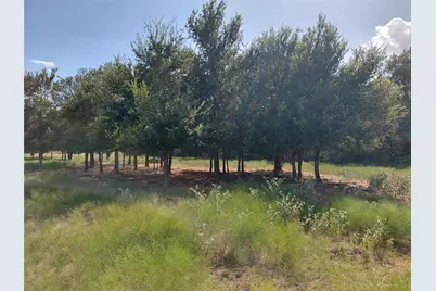 2838 County Road 201, Cameron, TX 76520 - Photo 8