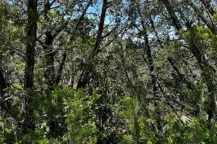 8402 Bronco Ln, Lago Vista, TX 78645 - Photo 1