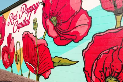 524 Highland Spring Lane, Georgetown, TX 78633 - Photo 38