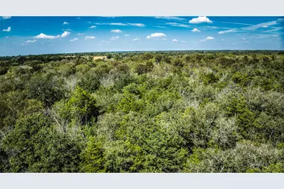 Tbd Dale. Lane, Dale, TX 78616 - Photo 8