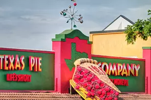 251 Basket Flower Loop, Kyle, TX 78640 - Photo 28