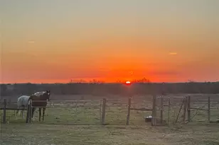 16117 Bobby Rd, Manor, TX 78653 - Photo 32