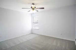 245 Peppergrass Cove, Kyle, TX 78640 - Photo 16