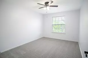 245 Peppergrass Cove, Kyle, TX 78640 - Photo 14