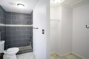 245 Peppergrass Cove, Kyle, TX 78640 - Photo 10