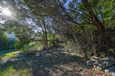 803 Savanna Lane, Cedar Park, TX 78613 - Photo 8