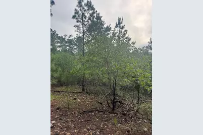 Lot 1492 Haleakala, Bastrop, TX 78602 - Photo 6