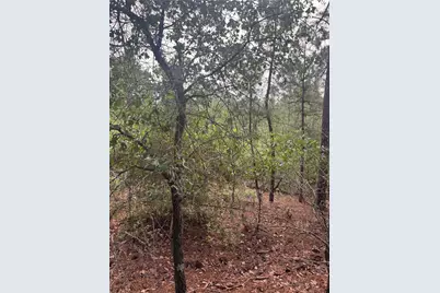 Lot 1492 Haleakala, Bastrop, TX 78602 - Photo 4