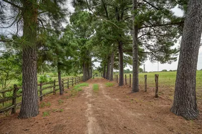 777 Cardinal Drive, Paige, TX 78659 - Photo 2