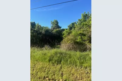 167 Kahana Lane, Bastrop, TX 78602 - Photo 4