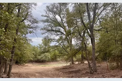12 Acres Mt. Pleasant, Cedar Creek, TX 78612 - Photo 2