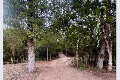 12 Acres Mt. Pleasant, Cedar Creek, TX 78612 - Photo 10