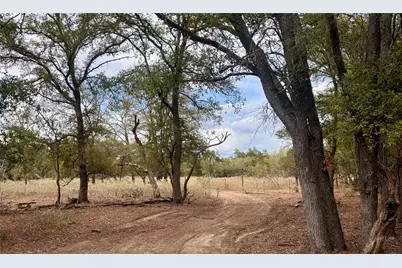 12 Acres Mt. Pleasant, Cedar Creek, TX 78612 - Photo 4