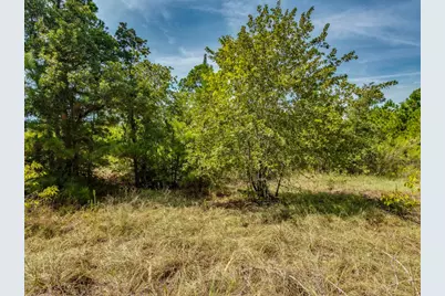 00 Makaha Drive, Bastrop, TX 78602 - Photo 2