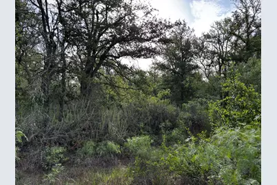 615 County Road 467, Thrall, TX 76578 - Photo 16