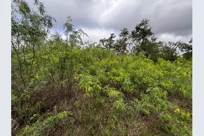 615 County Road 467, Thrall, TX 76578 - Photo 30