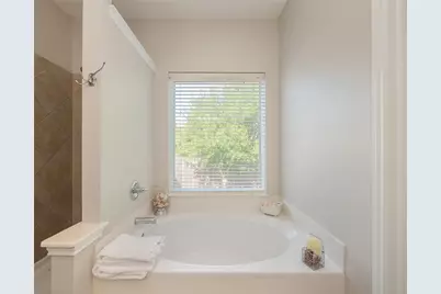 406 Primavera Loop, Kyle, TX 78640 - Photo 20