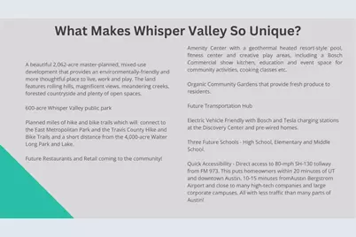 9801 Petrichor Boulevard, Manor, TX 78653 - Photo 20