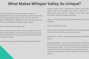 9801 Petrichor Blvd, Manor, TX 78653 - Photo 20