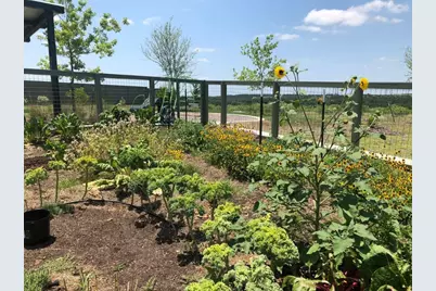 9801 Petrichor Boulevard, Manor, TX 78653 - Photo 32