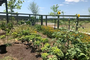 9801 Petrichor Blvd, Manor, TX 78653 - Photo 32