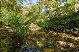 3839 Dry Creek Dr, Austin, TX 78731 - Photo 20
