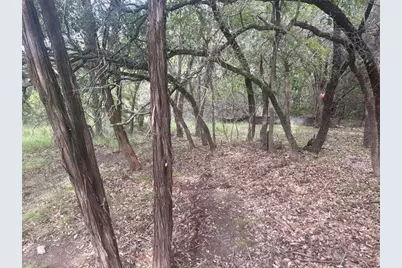 1803 Lipan Trail, Austin, TX 78733 - Photo 12