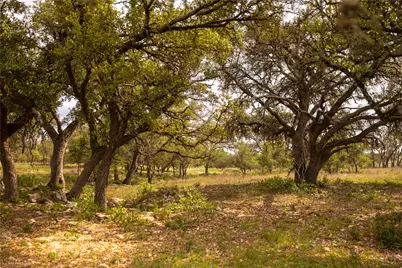 2390 Prochnow Road, Dripping Springs, TX 78620 - Photo 6