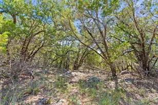 635 Ivean Pearson Rd, Lago Vista, TX 78645 - Photo 24