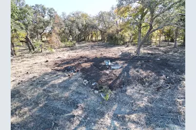 205 Serenity Drive, Liberty Hill, TX 78642 - Photo 1