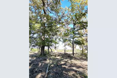 205 Serenity Drive, Liberty Hill, TX 78642 - Photo 12