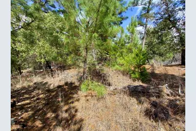 Lot 6 & 7 Wahane Lane, Bastrop, TX 78602 - Photo 6
