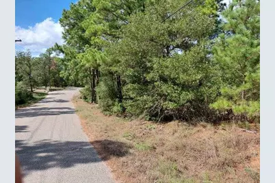 Lot 6 & 7 Wahane Lane, Bastrop, TX 78602 - Photo 1