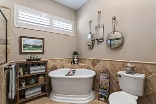 715 Long Ridge, Spring Branch, TX 78070 - Photo 28
