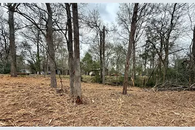 Lot 8 and 9 Meadow Creek Drive, Bastrop, TX 78602 - Photo 8