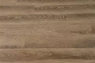 314 W William Cannon Dr, Austin, TX 78745 - Photo 10