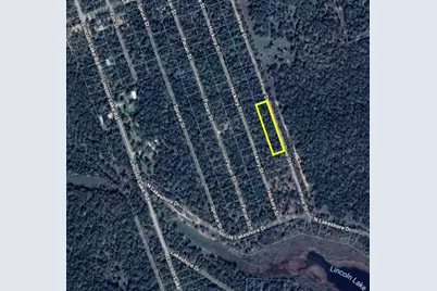 Tbd Pine Street, Paige, TX 78659 - Photo 2