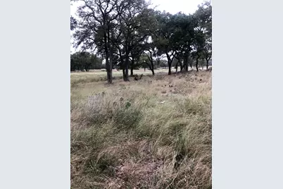 99 Axis Circle, Fredericksburg, TX 78624 - Photo 6