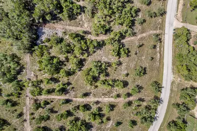 31890 Mirela Ann Road, Dripping Springs, TX 78620 - Photo 4