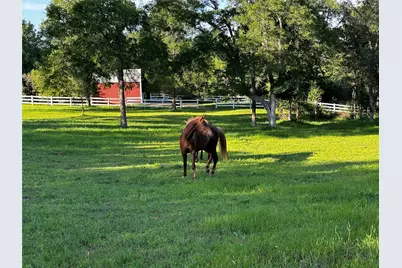 197 Colorado Drive, Cedar Creek, TX 78612 - Photo 2
